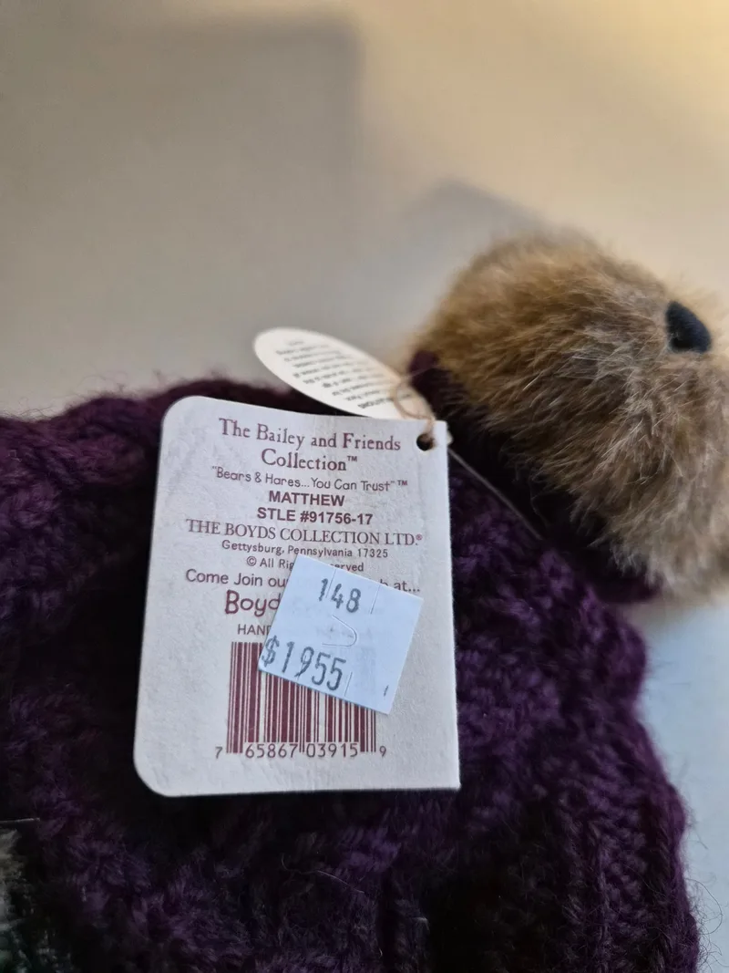 Branson, a rescued teddy bear