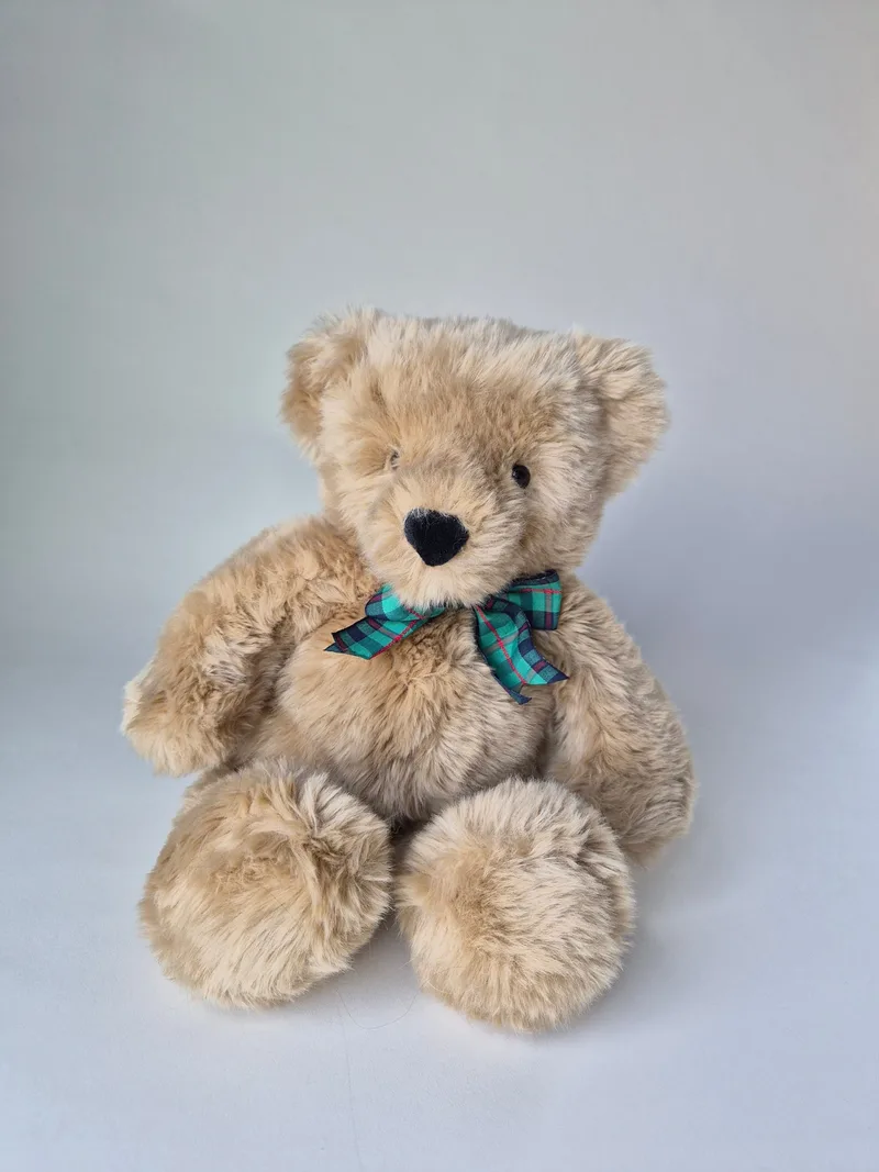 Swiftie, a rescued teddy bear
