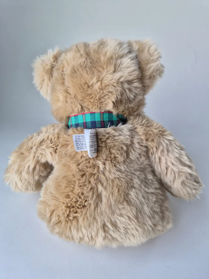 Swiftie, a rescued teddy bear