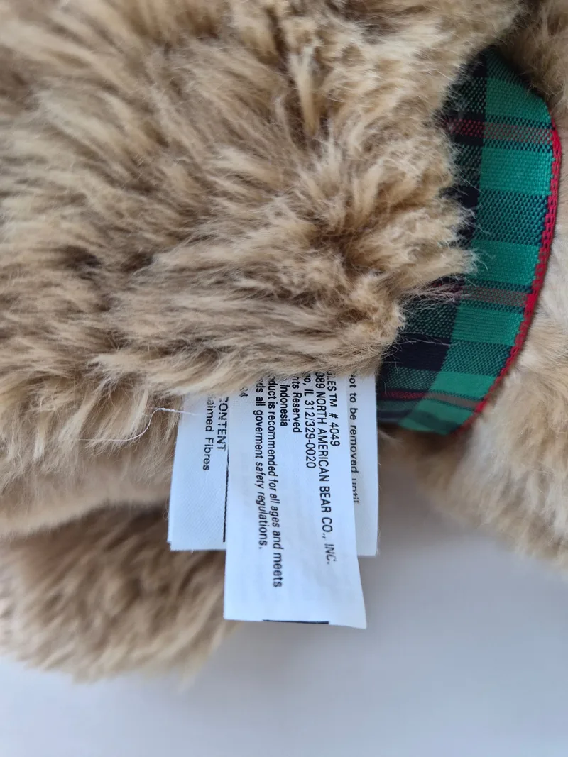 Swiftie, a rescued teddy bear