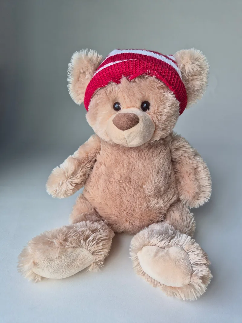Waldo, a rescued teddy bear