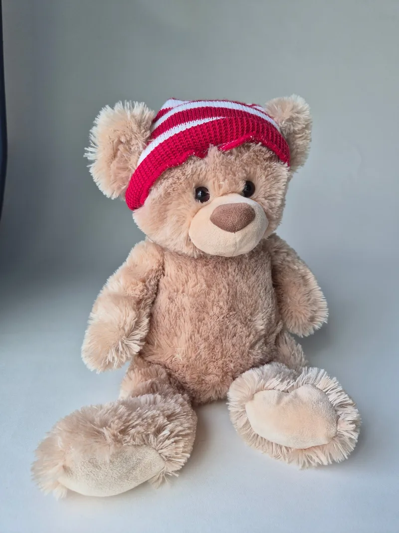 Waldo, a rescued teddy bear