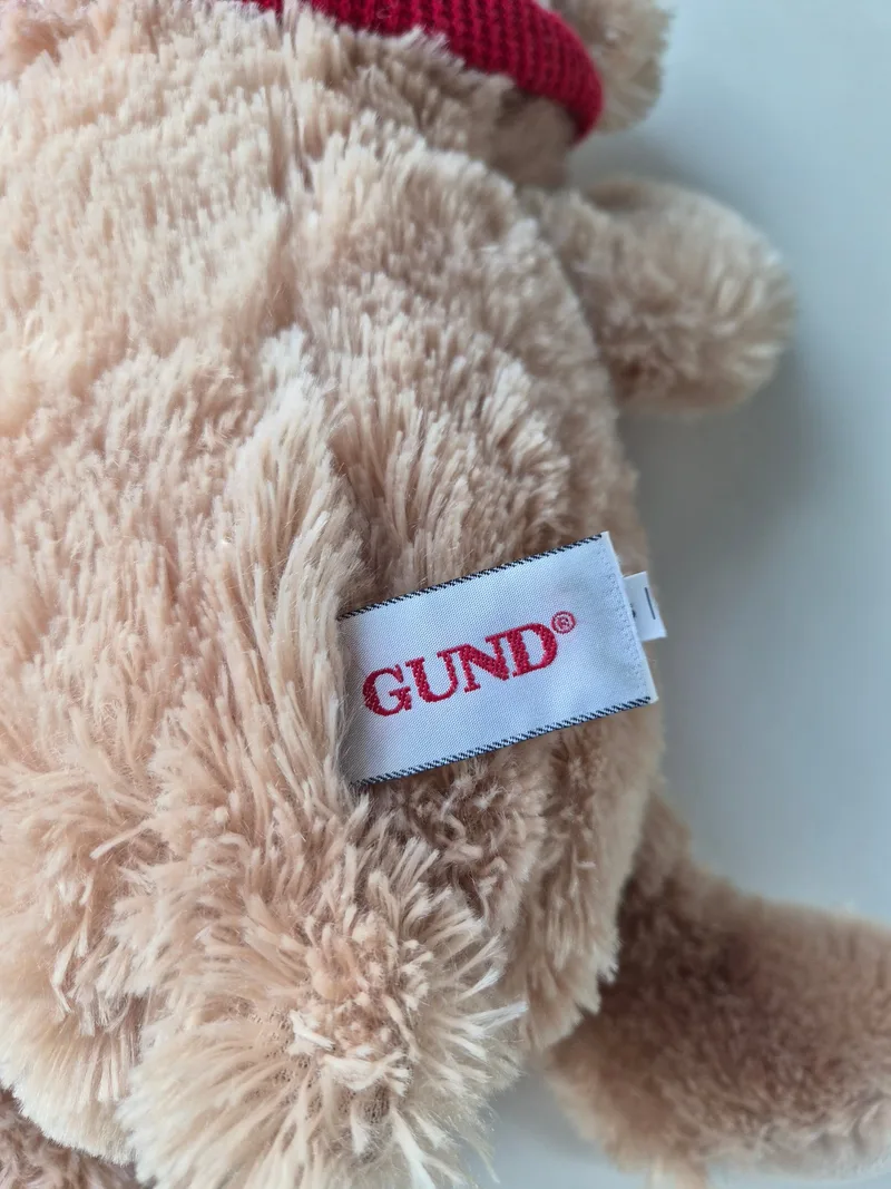 Waldo, a rescued teddy bear