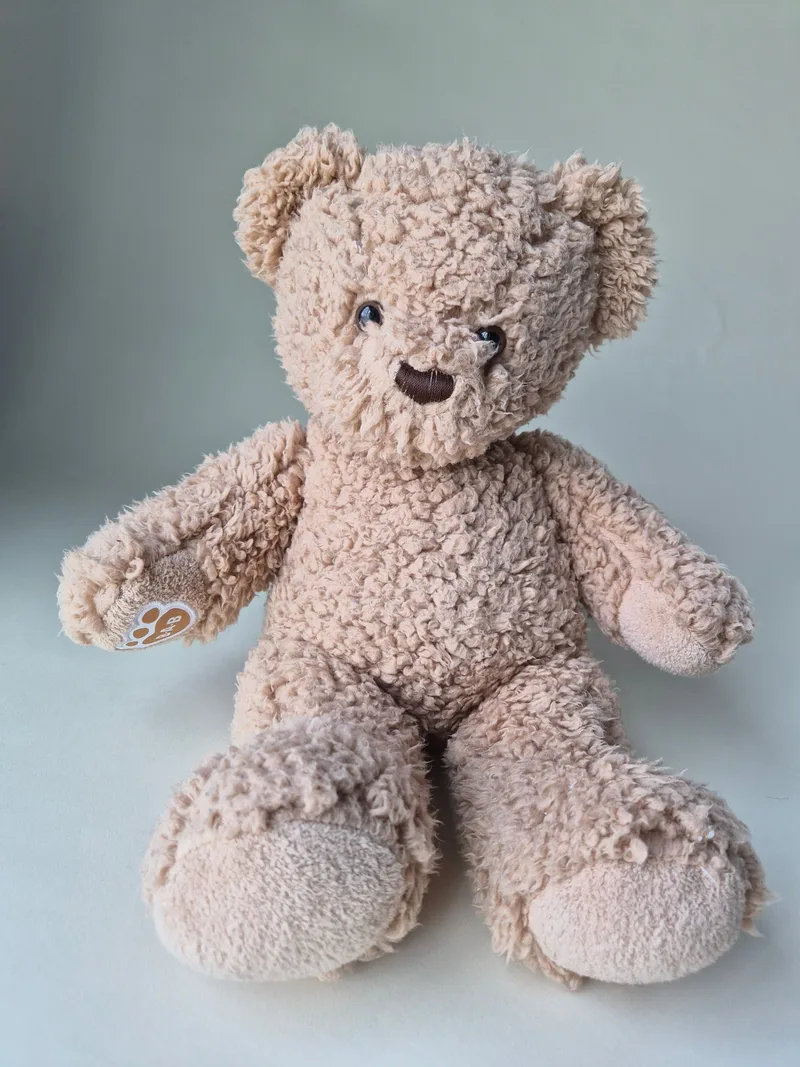 Curly, a rescued teddy bear