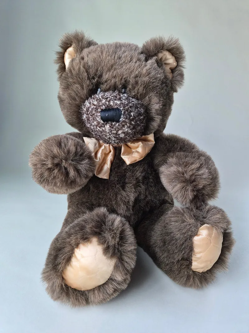 Goldilocks , a rescued teddy bear
