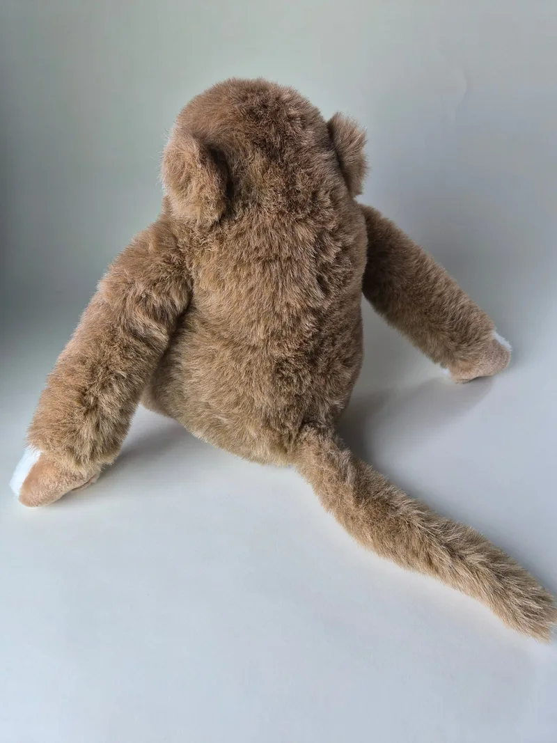 Howl, a rescued teddy bear