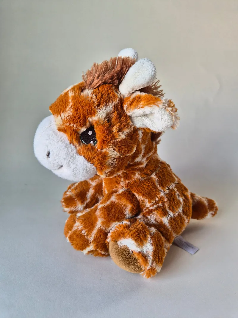 Juniper Tallow, a rescued teddy bear