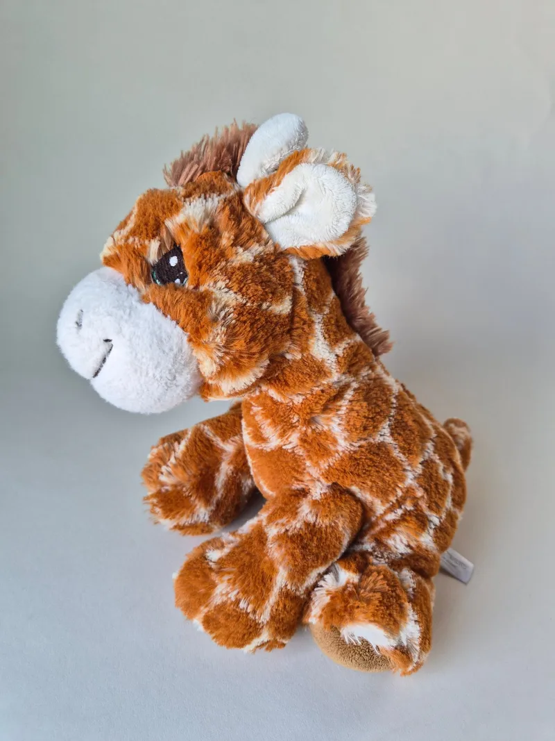 Juniper Tallow, a rescued teddy bear