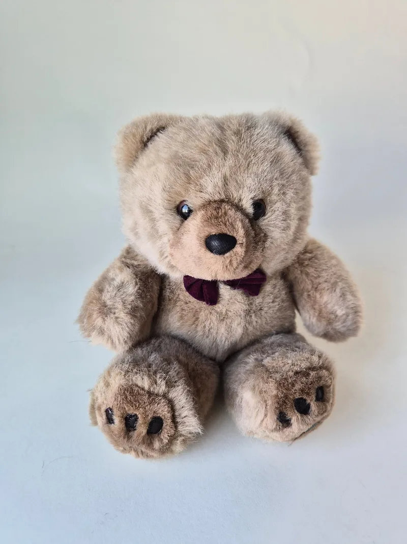 Little Bit, a rescued teddy bear