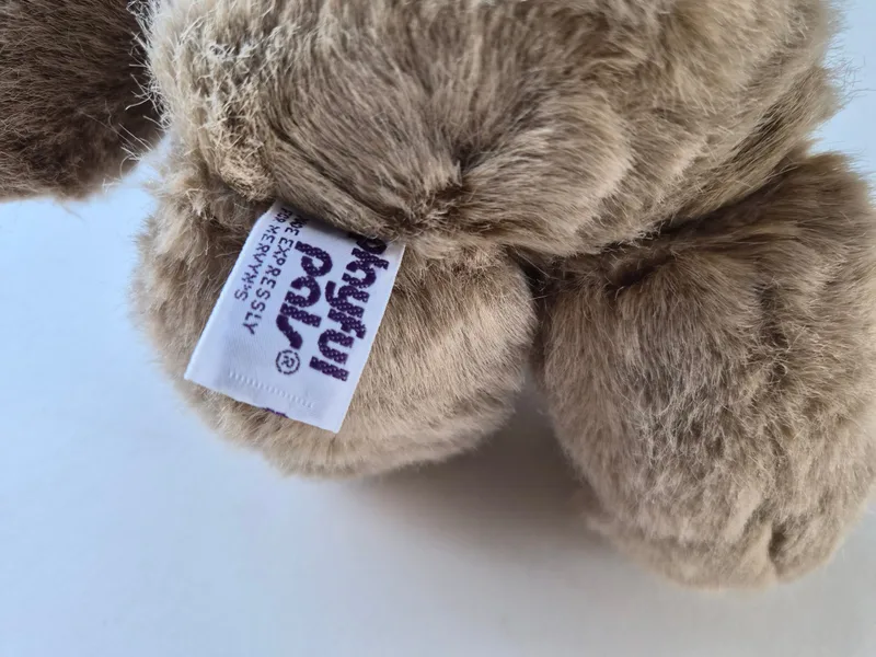Little Bit, a rescued teddy bear