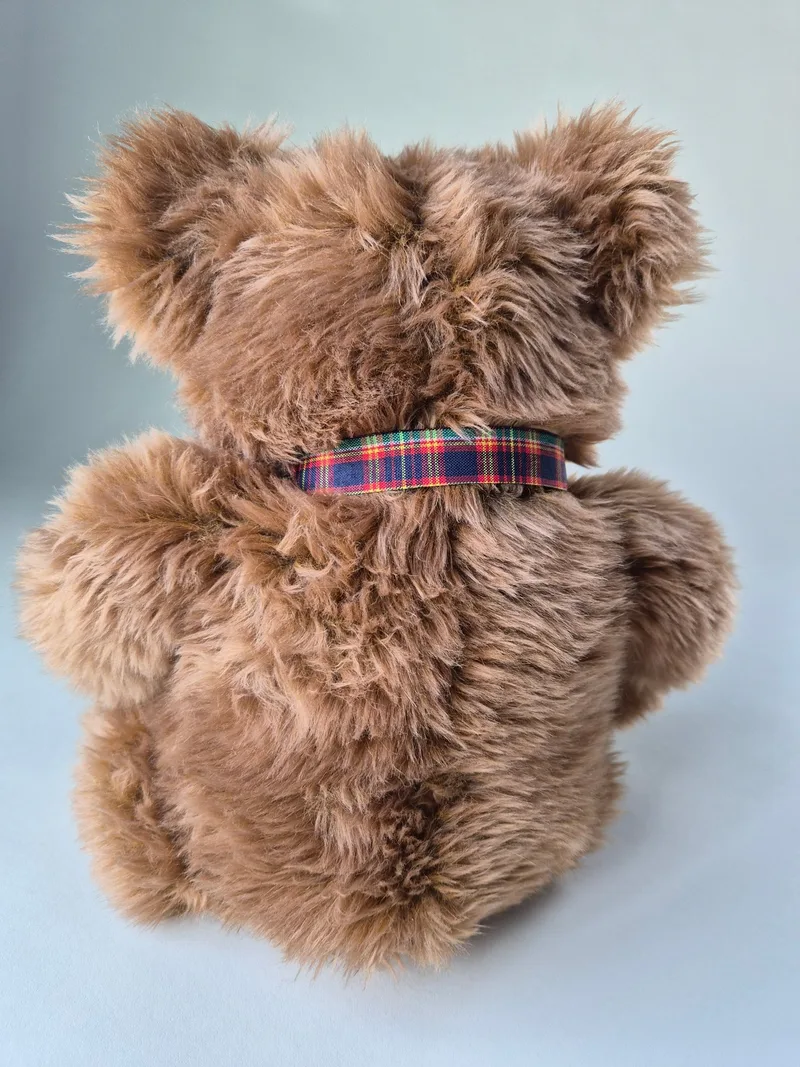 Back view of the same teddy bear showing tousled fur and the tartan ribbon tied like a collar.