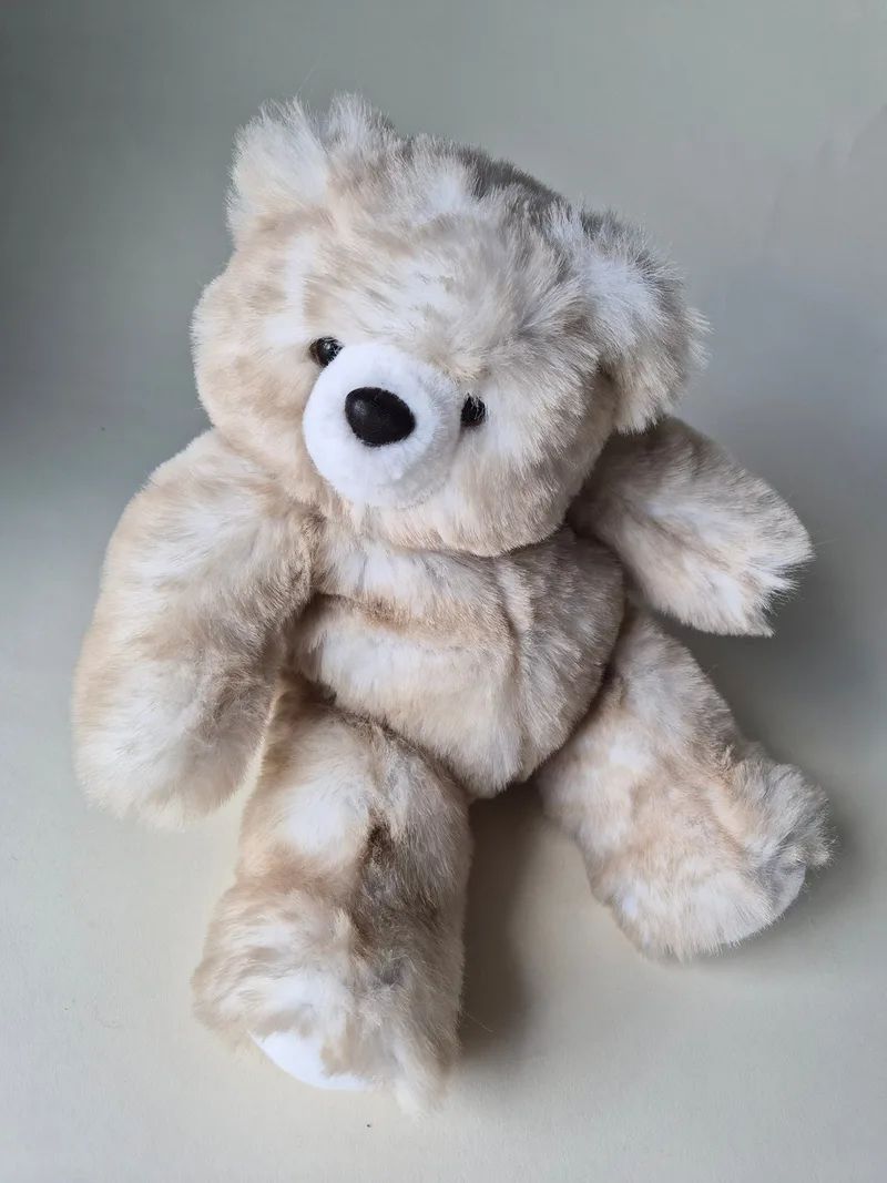 Same bear photographed from above showing shaggy frost-tipped plush and pale foot soles