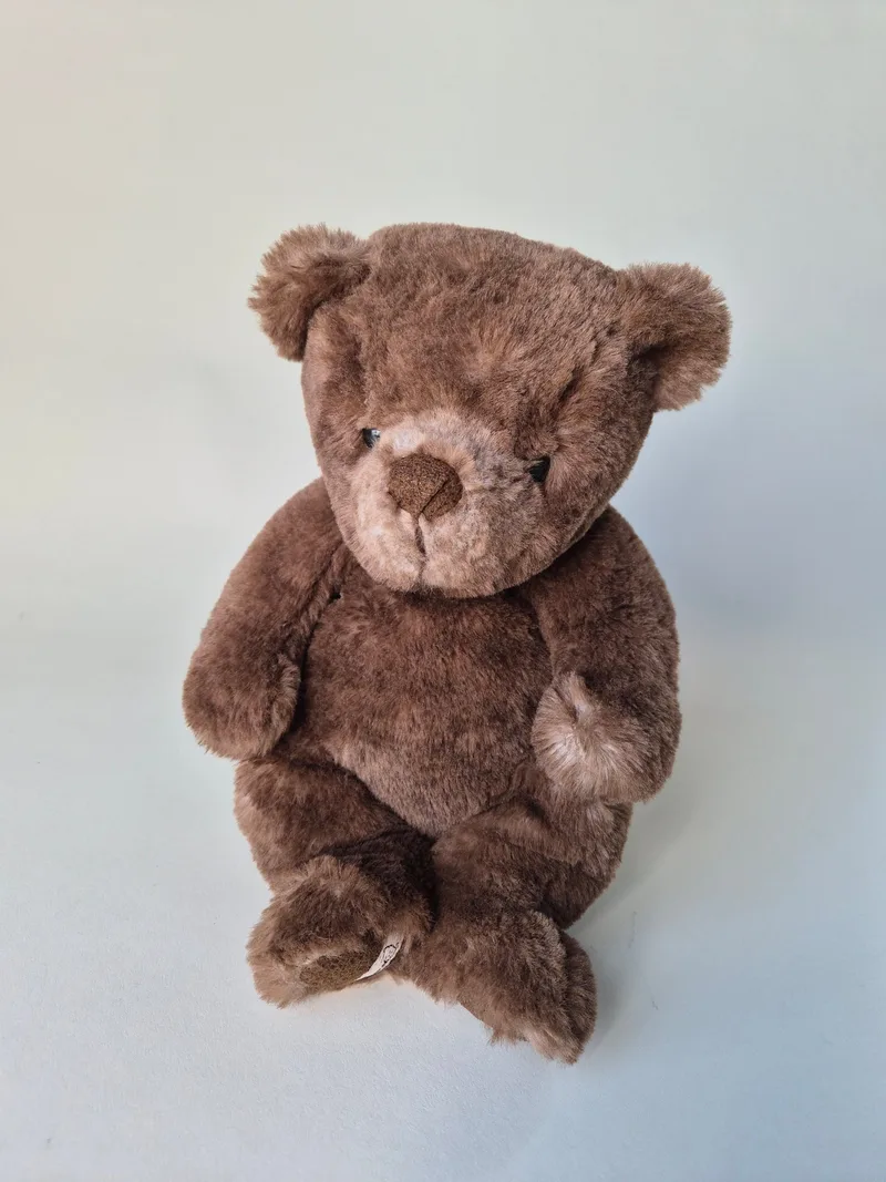 Barrowby, a rescued teddy bear