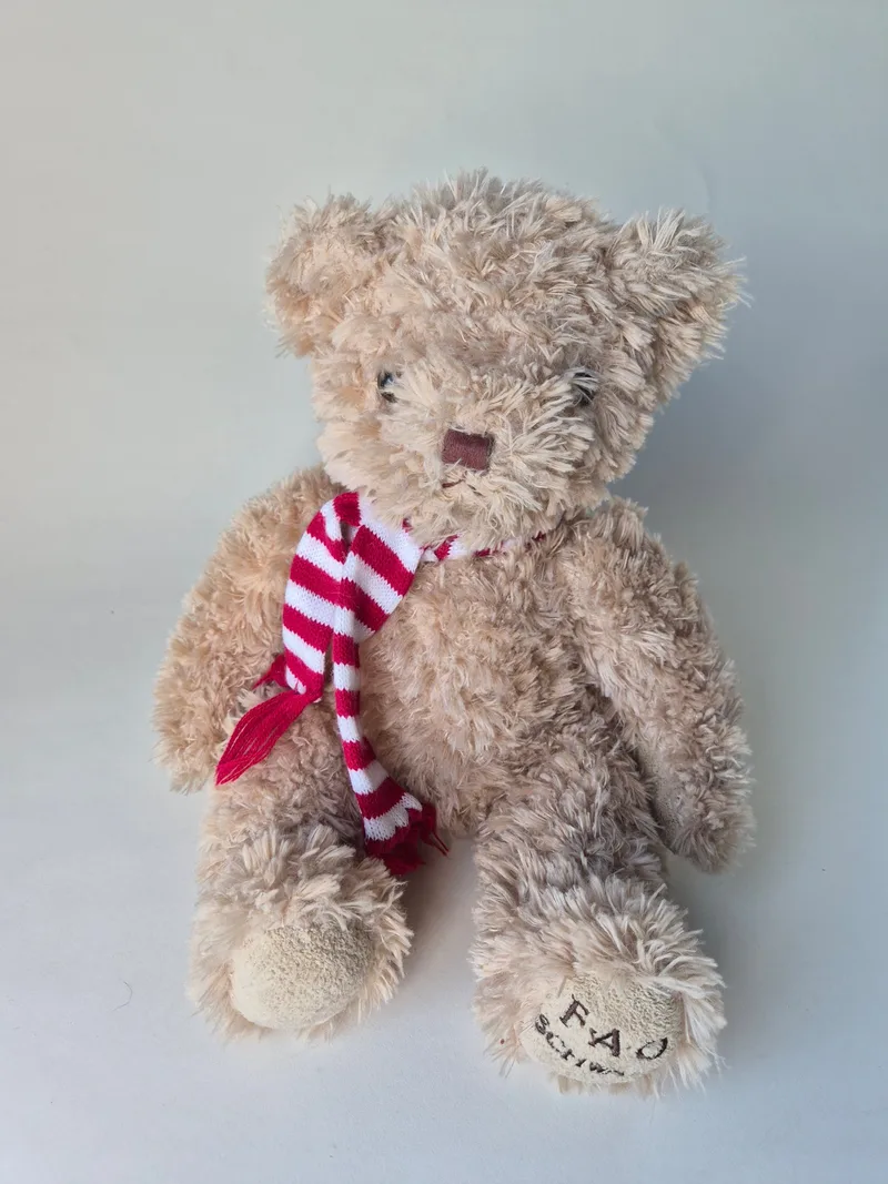 Front view of the same teddy bear showing stitched nose and F·A·O logo on one foot pad