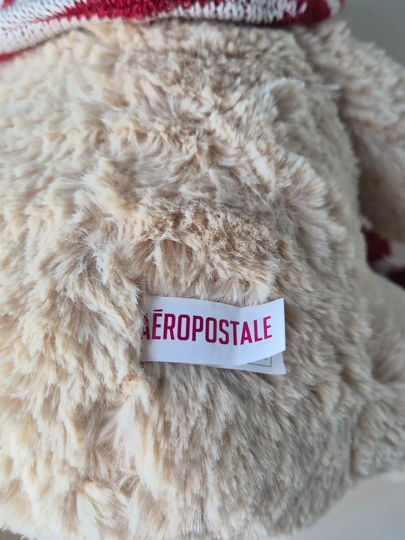 Aeronaut Biscuit, a rescued teddy bear