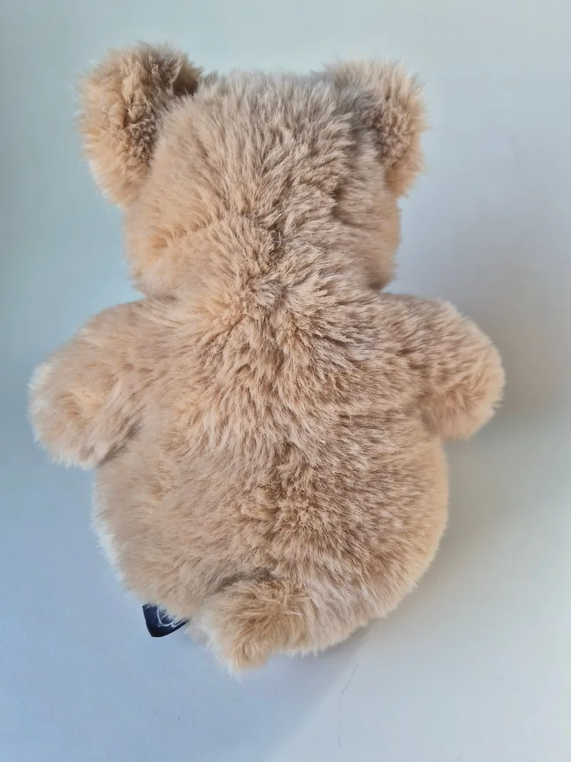 Rear view of the caramel teddy showing marled darker fur down the back and short ears