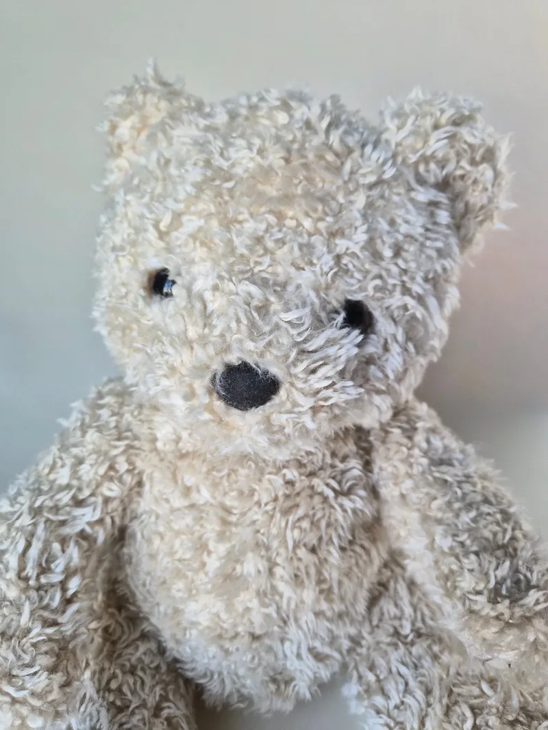 Close-up of a curly ivory teddy bear's face with small dark stitched eyes and a dark felt oval nose