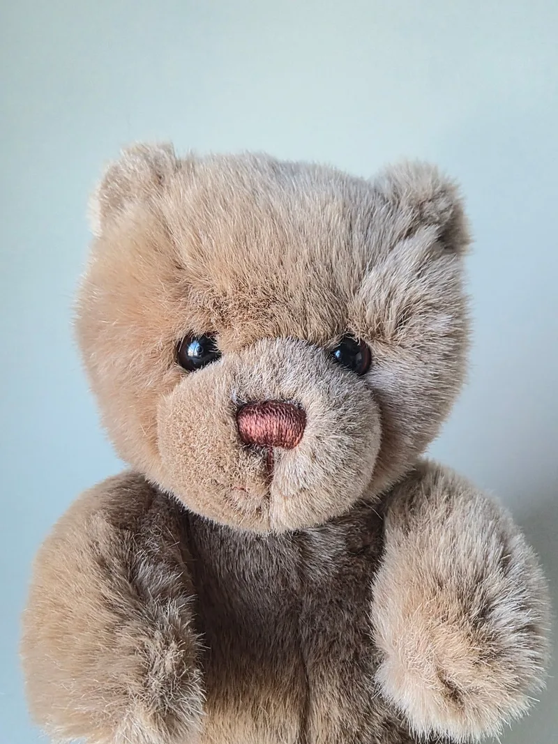 Close-up of a brown Gund teddy bear's face with glass eyes and a stitched cinnamon nose worn smooth on top