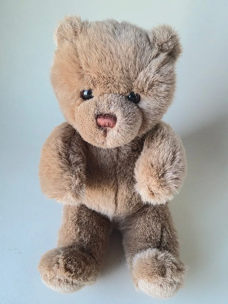 Full view of a small brown teddy bear sitting with paws raised, wheat-cream chest and belly