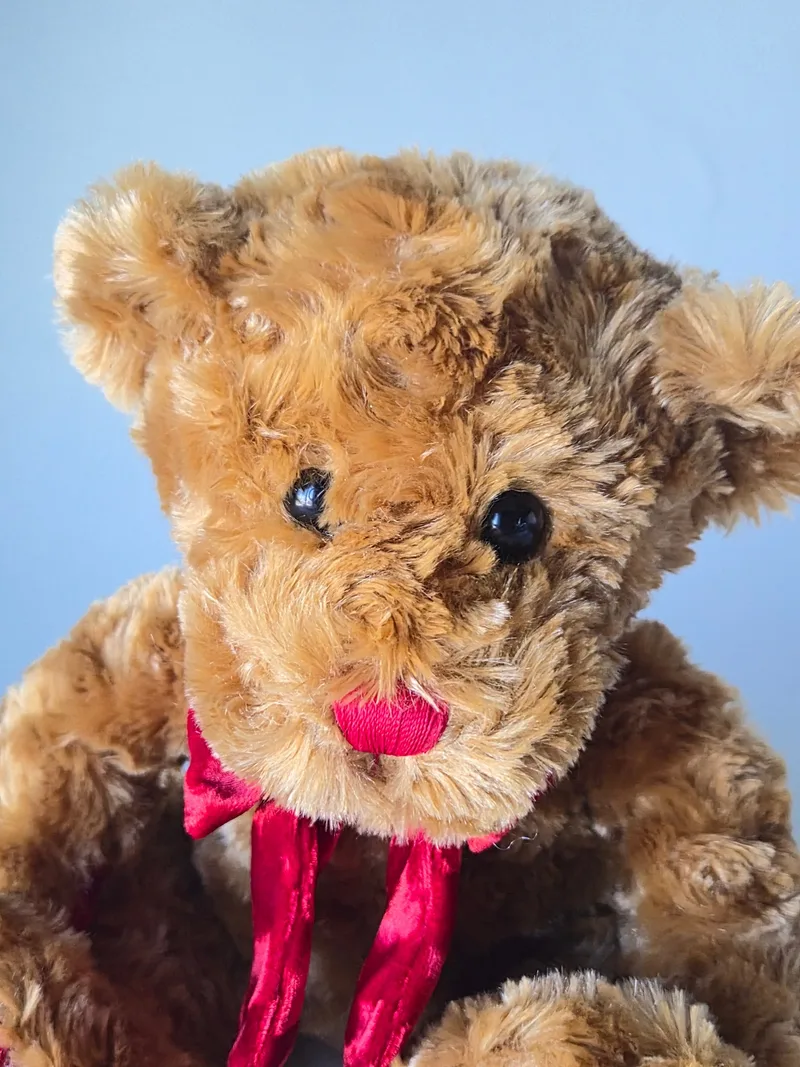 Close view of the bear's face: glossy black eyes, darker fur across the crown, and a red satin nose above the bow