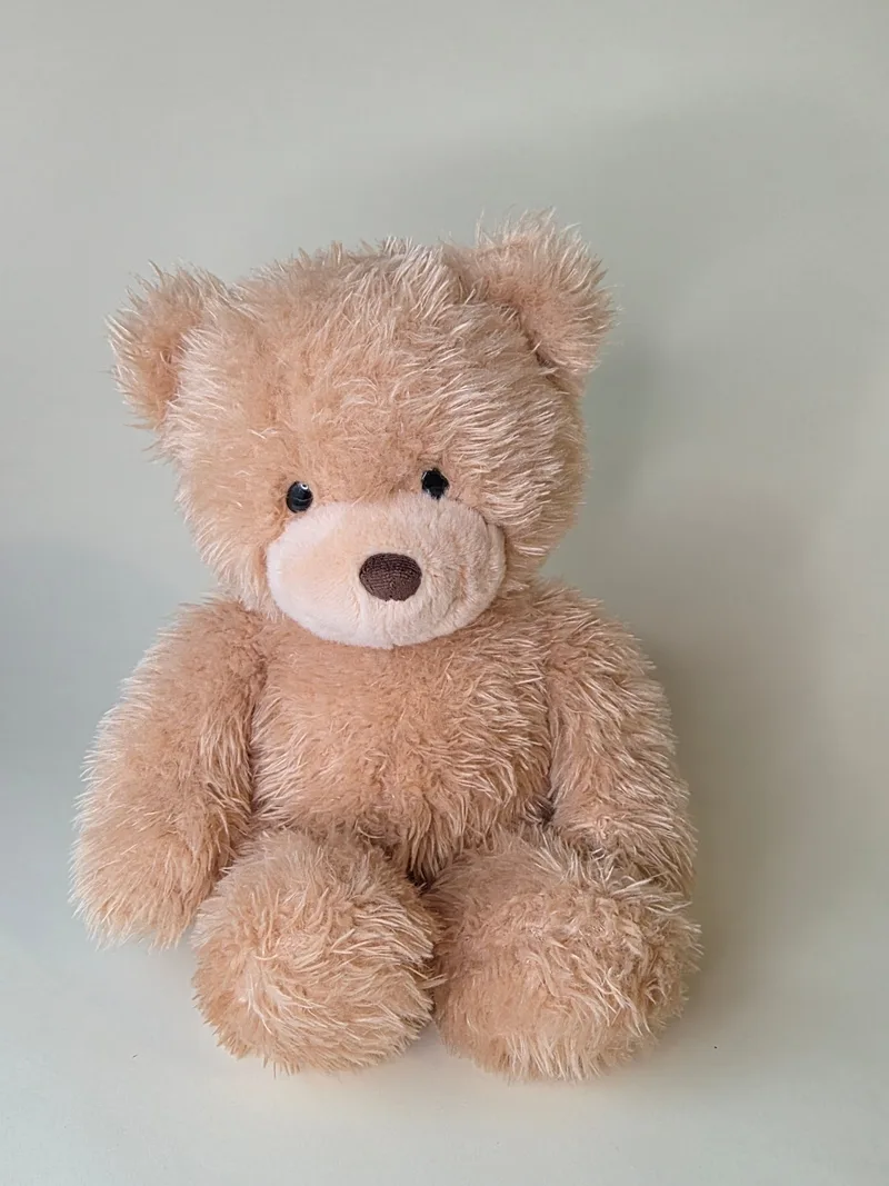 Front view of a shaggy apricot teddy bear seated, with a cream muzzle, stitched cocoa nose and dark eyes