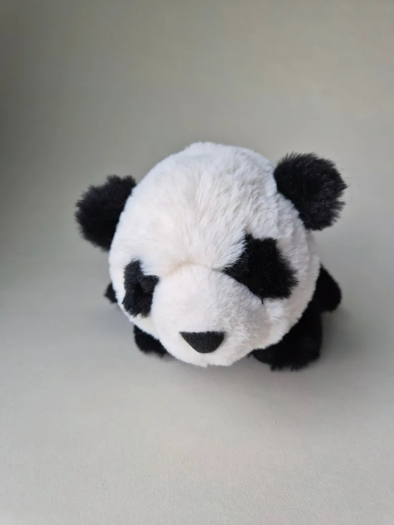 Close-up front view of the panda's face with black eye patches, nose, and rounded ears
